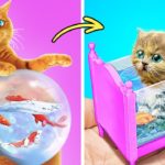 妊娠中の野良猫を保護しました🙏🐱 ペット用の水槽のある秘密の部屋