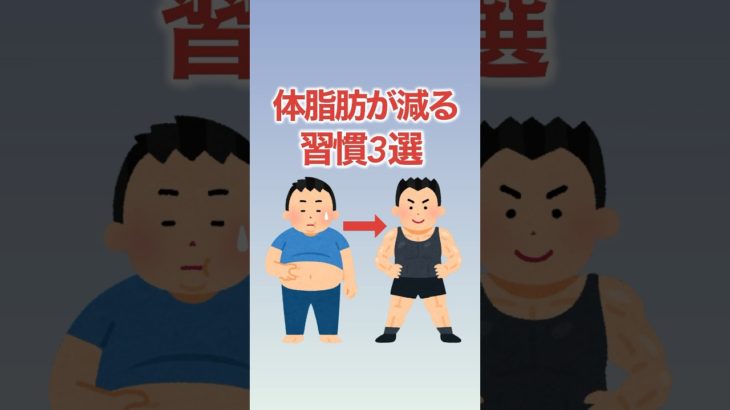 【痩せる】体脂肪を減らす習慣3選！ #shorts #ダイエット #痩せる