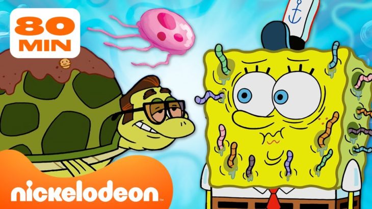 スポンジ・ボブ | ビキニタウンのペットと動物たち、大集合！ | 80分の編集版  | ニコロデオンジャパン