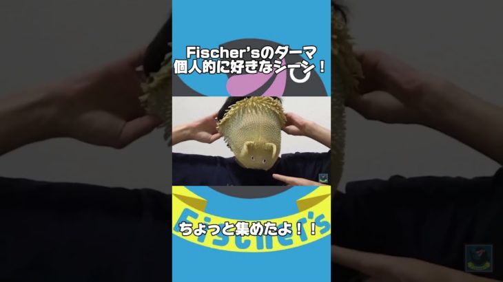 個人的に好きなダーマのシーン集！！　#フィッシャーズ#Fischer’s#ダーマ#面白い#集#ショート#shorts#犬