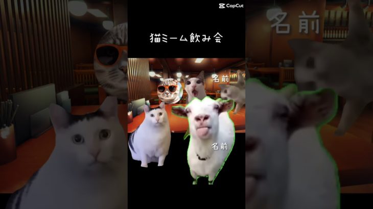 ＃ちぴちぴ＃猫ミーム＃猫のいる暮らし＃癒しペット＃cat #memes #funnycats #shortcat