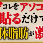 【ダイエットの裏技】絆創膏を正しく貼るだけで全身の血流がアップして体脂肪率を減らす【脂肪燃焼｜痩せる｜体重減らない】