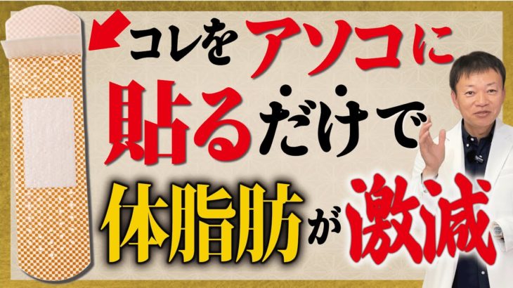 【ダイエットの裏技】絆創膏を正しく貼るだけで全身の血流がアップして体脂肪率を減らす【脂肪燃焼｜痩せる｜体重減らない】