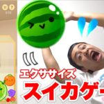 あのスイカゲームにエクササイズ版が出たからやってみたら🍉🍉🍉