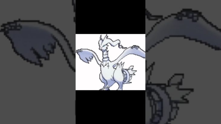 レシラム鳴き声#フィッシャーズ #レシラム