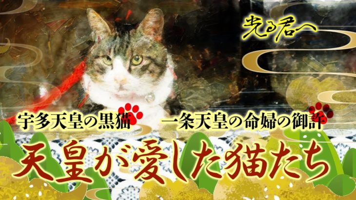 平安時代のペット事情、特に猫についてのお話