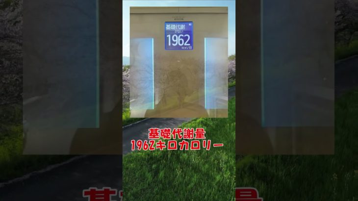 【ダイエット】こつこつダイエット経過報告　令和6年4月12日 #diet #نظام_عذائي #こつこつダイエット