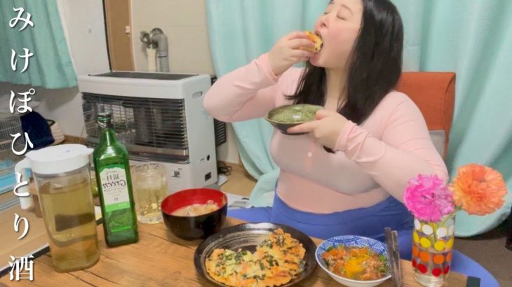 【みけぽ一人】生理とダイエットのストレスを巨大サーモンで作る絶品肴で暴飲暴食する夜　A chubby girl ate Japanese food and her stomach got bigger