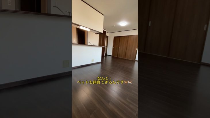 わんちゃん猫ちゃんと住めるお部屋〜🐶😻　#お部屋探し #shorts #ペット