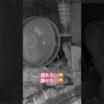 ハム詰まりにはハムを　#ハムスター #ジャンガリアンハムスター #ジャンガリアン #ペット #はむチラ #shorts