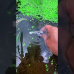 the beauty of nature – You didn’t think it was that beautiful _136thclip #satisfying