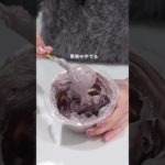 ミキサー不要！アサイーヨーグルトボウル🥣#ダイエットレシピ #ダイエット垢 #簡単レシピ #ズボラレシピ #ヘルシーレシピ #ヘルシーおやつ #ヘルシー料理 #痩せたいけど食べたい