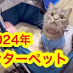 【インターペット】日本最大級のペットイベントを満喫している猫が可愛すぎた…