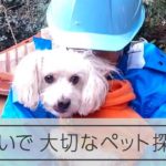 取り残されたペットを救うボランティア　きっかけは熊本地震
