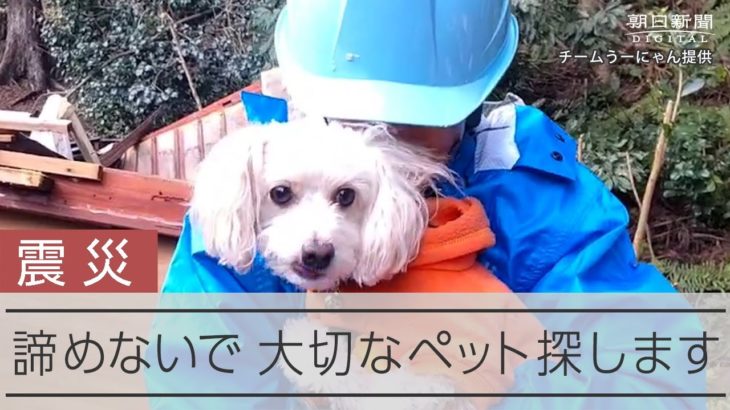 取り残されたペットを救うボランティア　きっかけは熊本地震