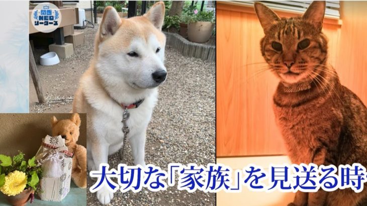 ペット火葬は今や常識⁉まさかのチンアナゴまで…【関西NEOリーダーズ】