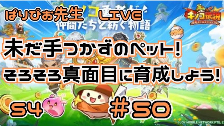 【#キノコ伝説】未だに手つかずのペット！そろそろ真面目に育成しよう！【#S4】