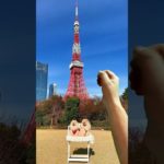 お出掛け楽しいねー♪#dog #犬 #ペット #fyp