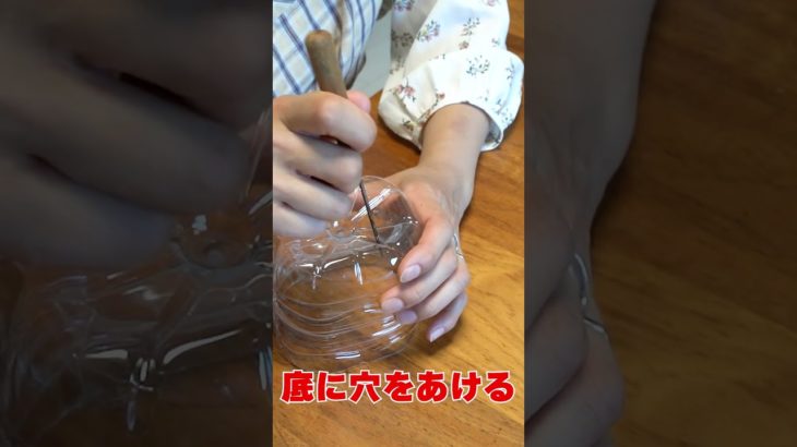 ダンゴムシトラップを自作してみた！ペットボトルで簡単ダンゴムシ対策！ ワラジムシ駆除！園芸害虫対策！ #shorts #害虫駆除 #ダンゴムシ #虫除け #家庭菜園