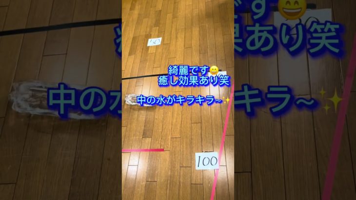 コロコロ✨️転がるペットボトル✨️#レクリエーション #高齢者レク #デイサービス #認知症予防 #shorts #簡単 #楽しい