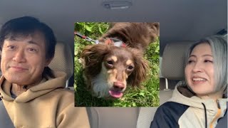 そろそろペットが欲しくなる年頃です🐶