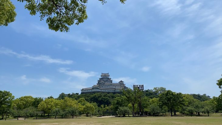 精神的にダイエット中ですわ