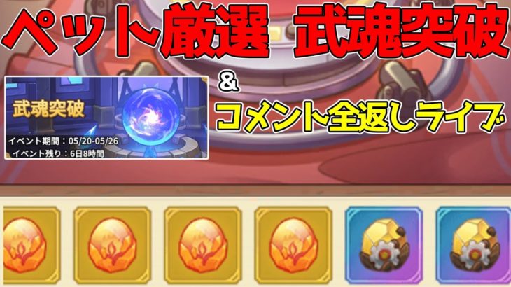 【キノコ伝説】ペット厳選と武魂突破＆質問なんでも答える配信！コメント全部読みます！