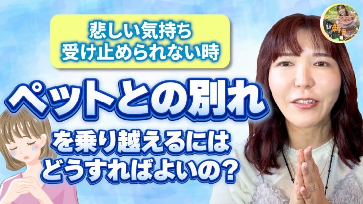 【ペットロス】悲しみから抜け出せない・自責の念で苦しむあなたへ