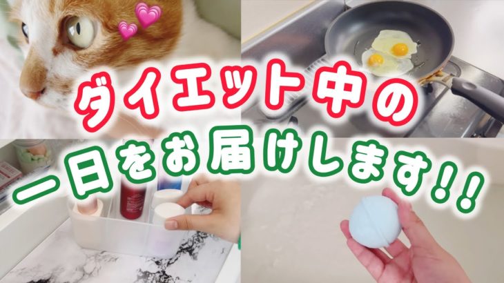 【ダイエット】ダイエット中の一日の過ごし方！