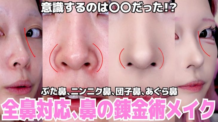 【錬金術】これはさすがに神回😭✨ガチで誰でも出来る方法ですべての鼻悩みを解決した‼️【鼻を小さくする方法】