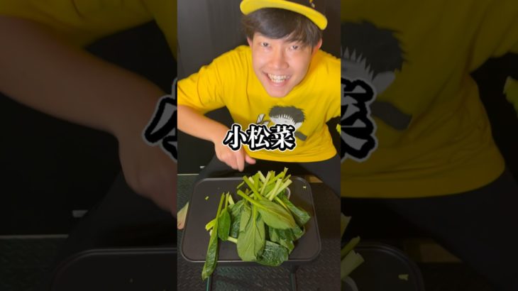 どのペットのお弁当を作っているでしょう？？