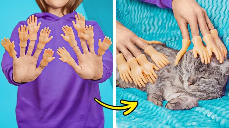 2024年のトップペットガジェットとハックス🏅🐱