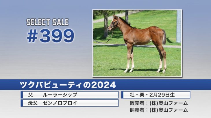 2024セレクトセール 399 ツクバビューティ2024