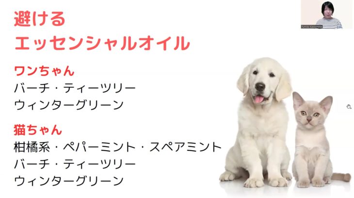 37.ペットに避けるオイル