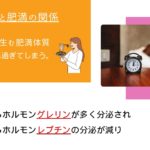 4.睡眠とダイエット