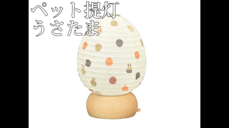 4589830881288_ペット提灯_うさたま
