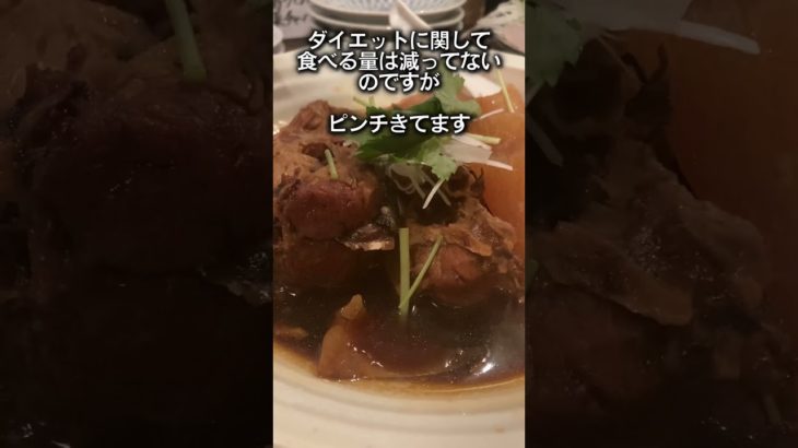 56日目　100日後に痩せる会社員 #あるある #ダイエットは明日から #大学生 #100日後に痩せる #100日後に痩せる #50キロダイエット成功  #社会人 #16時間ダイエット