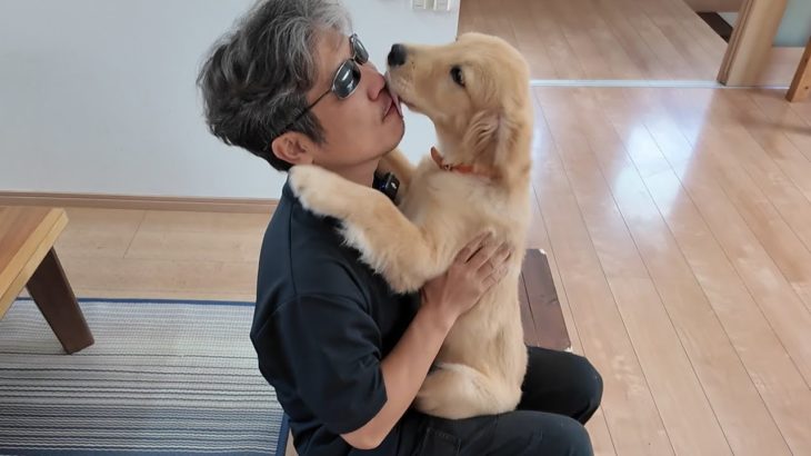 犬の介護に２０キロ以上のダイエット。そこには二人の強い絆があった。【Golden Retriever japan】