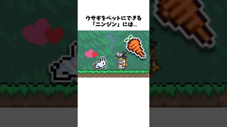 【テラリア雑学】実はコレクターズエディションでしか入手できないレアペット【ニンジン】#Shorts