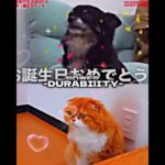 チクワVSもふこ#フィッシャーズ #ヒカキン