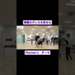 華麗なダンスを見せるダーマ #fischers #ダーマ #フィッシャーズ #shorts