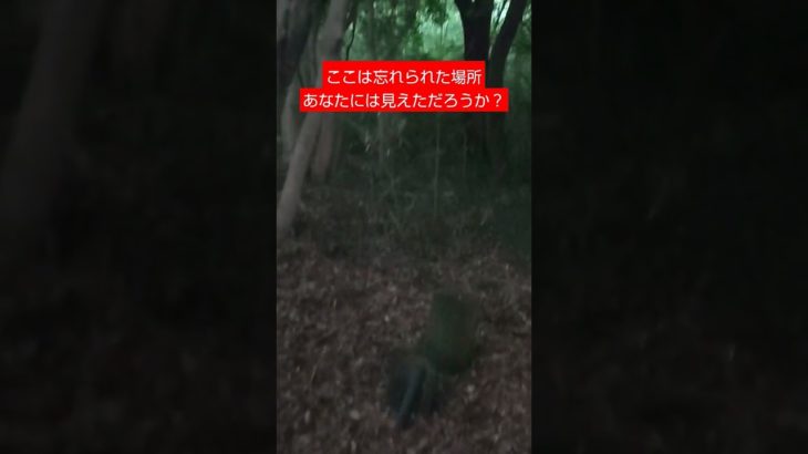 夏日なので #心霊 #怖い #恐怖 #スポット #入口が封鎖 #ペットの墓 #mystery #謎 #ホラー #不思議 #fantastical #mystical