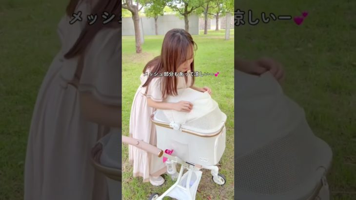 かわいい!!人もバギーも!! #pettena #ペット #pets #ペット用品 #cute #ペットカート