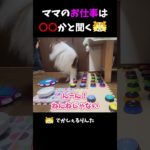 ママのお仕事は〇〇かと聞くシェルティ【会話ボタンでしゃべる犬】 #shorts