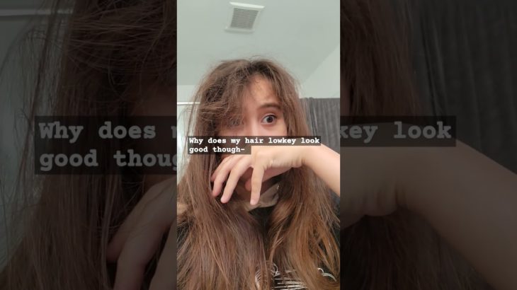 sorry about the end #フィッシャーズ #マサイ #目覚まし時計 #furry #furr #fursuit