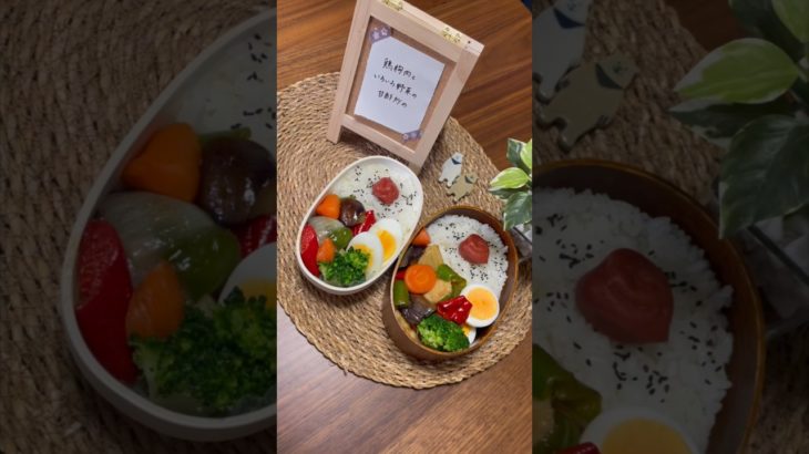 たんぱく質が摂れる【夫婦ダイエット弁当】【鶏胸肉といろいろ野菜の甘酢炒め】 #お弁当おかず #お弁当 #ダイエット #簡単レシピ