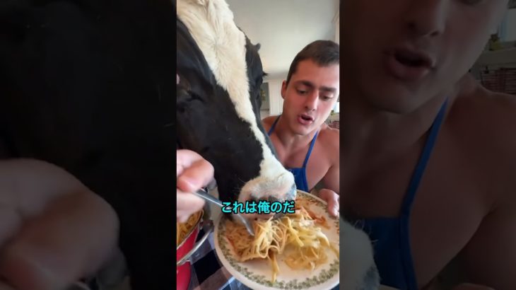 次元の違うペットｗｗｗ