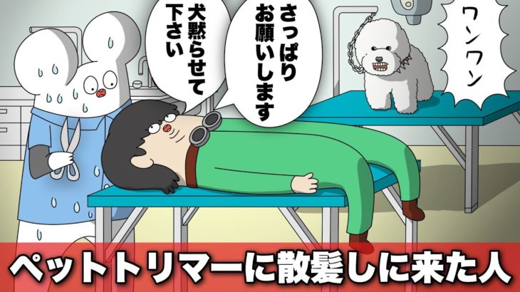 ペットトリマーに髪切りに来た人間