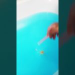 〇〇が連れたーーーフィッシャーズのバスボム第２