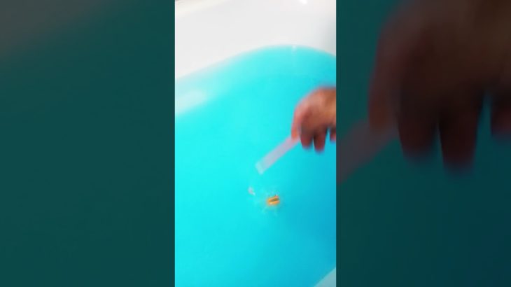 〇〇が連れたーーーフィッシャーズのバスボム第２